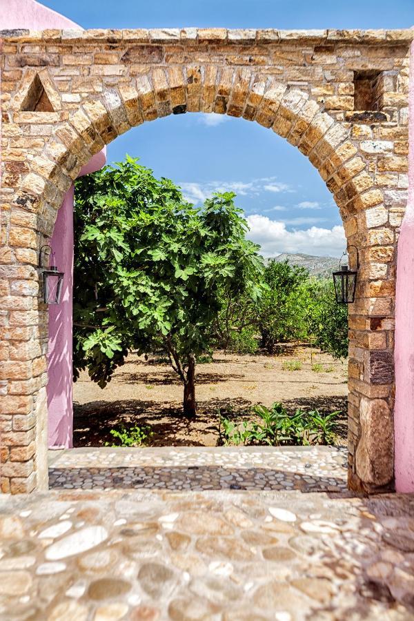 Villa Georgilas Cave House Naxos City Exterior foto