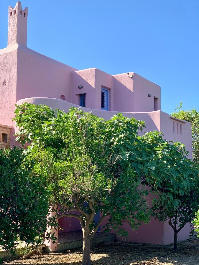 Villa Georgilas Cave House Naxos City Exterior foto
